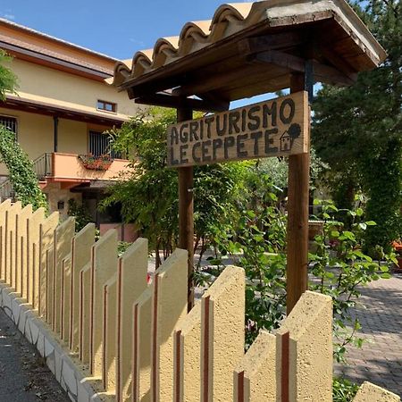 Apartamento Le Ceppete Palombaro Exterior foto