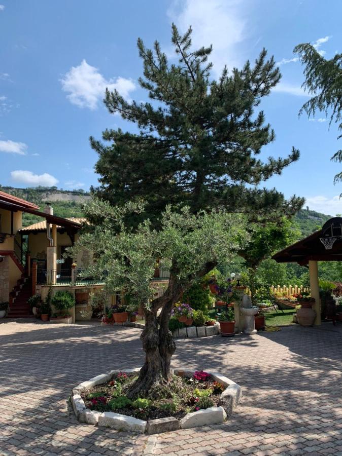 Apartamento Le Ceppete Palombaro Exterior foto